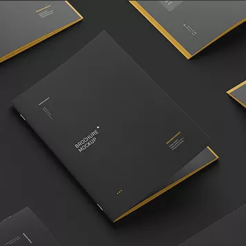 Оперативная печать буклетов в Киеве